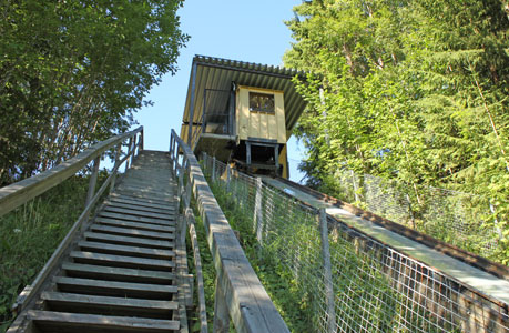 svarthalsforsen2